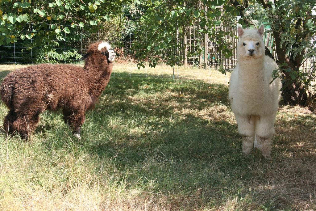 A La Campagne Bed & Breakfast